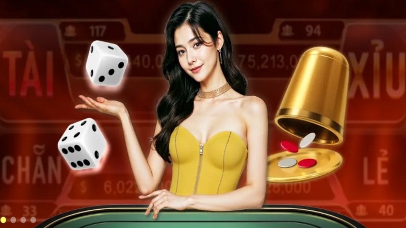 Những lưu ý khi đăng nhập Vibet