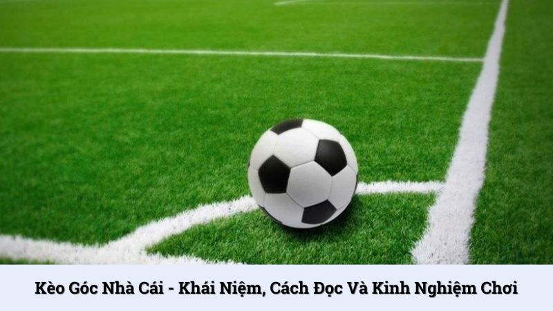 Kèo góc nhà cái - Khái niệm, cách đọc và kinh nghiệm chơi