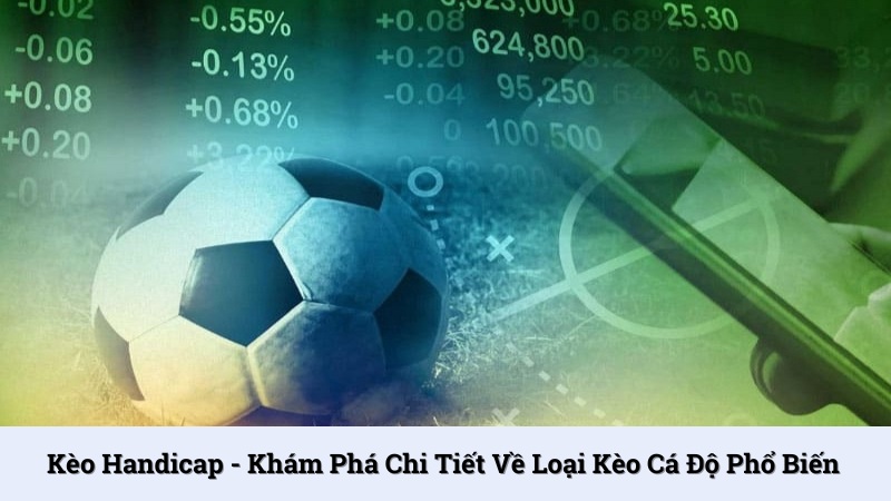 Kèo Handicap - Khám phá chi tiết về loại kèo cá độ phổ biến