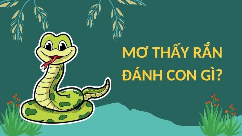 Mơ thấy rắn đánh con gì trong nhiều tình huống khác nhau