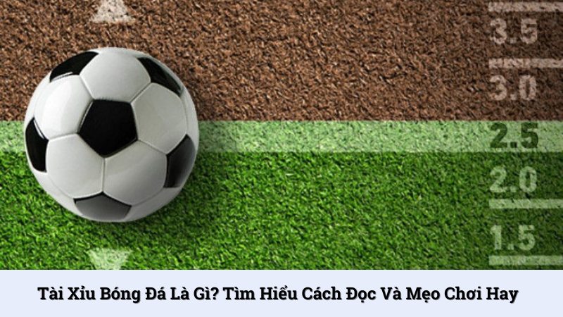 Tài Xỉu bóng đá là gì? Tìm hiểu cách đọc và mẹo chơi hay